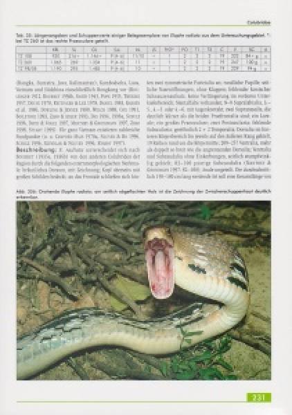 Die Amphibien und Reptilien eines Tieflandfeuchtwald-Schutzgebietes in Vietnam